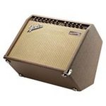 Fender Acoustasonic Amplifier