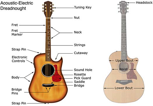 Labelled Illustration of an Acoustic Electric Guitar